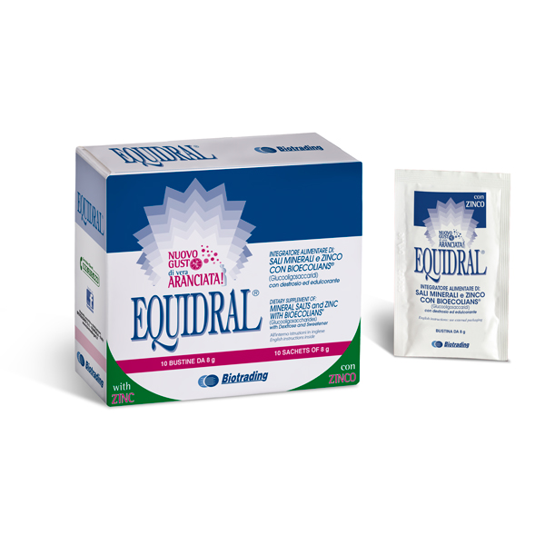 Equidral buste