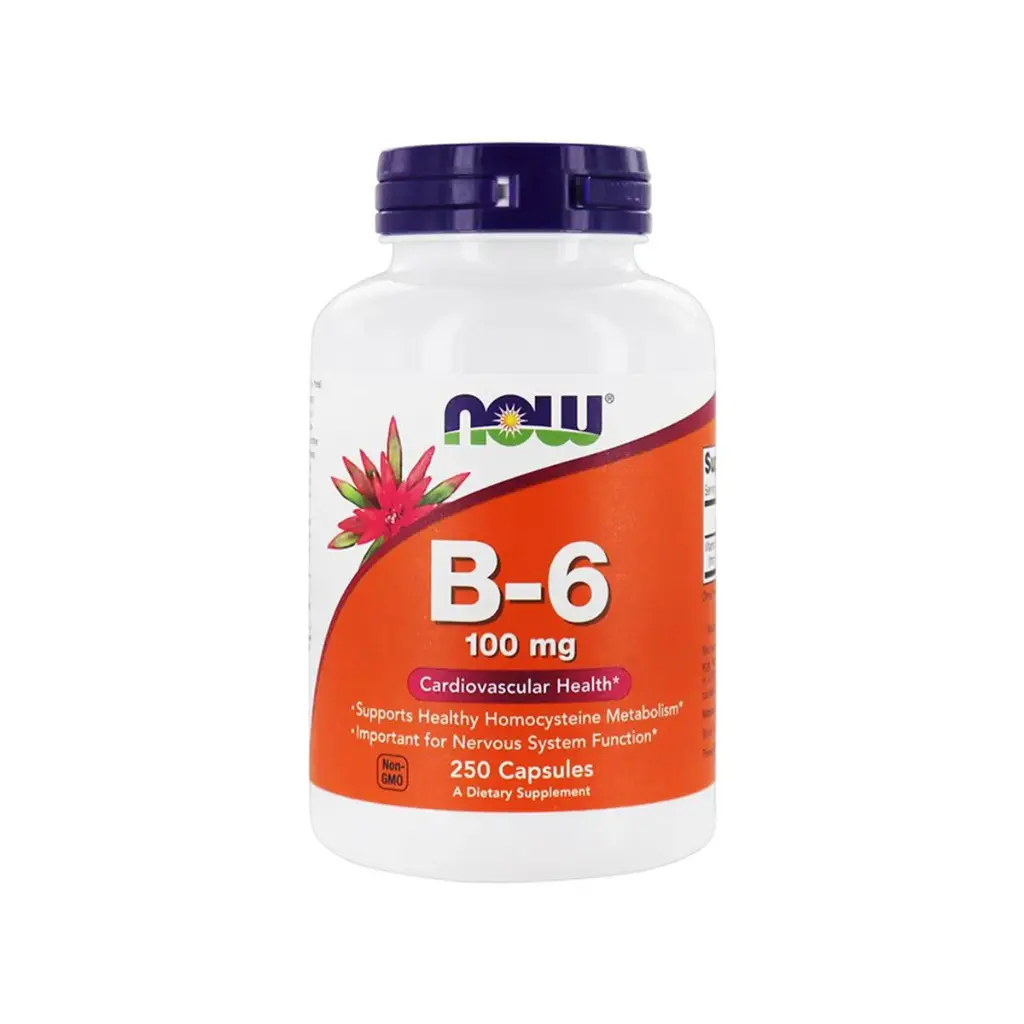 Now B-6 100mg * 100caps