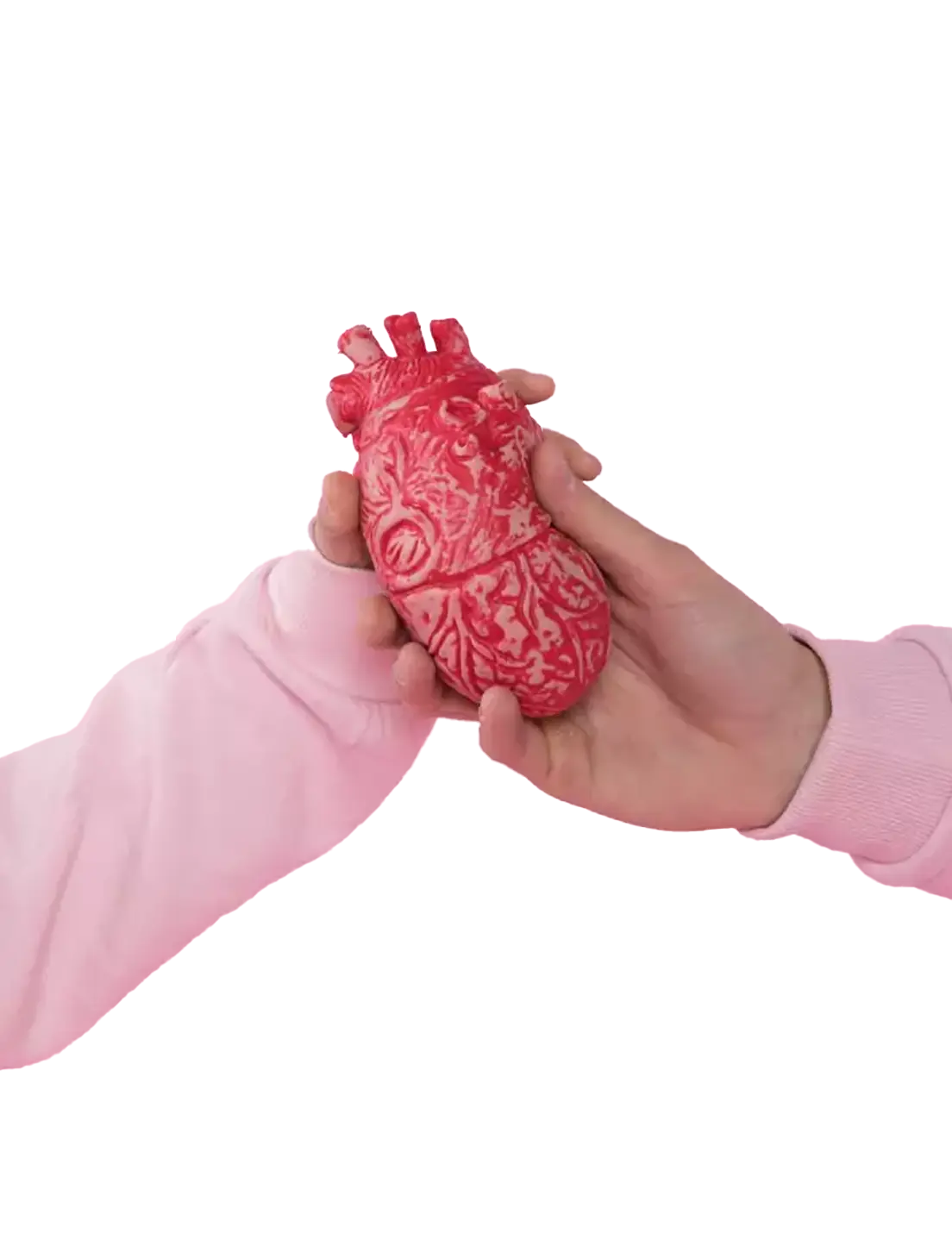 Kujdesi për Mëlçinë